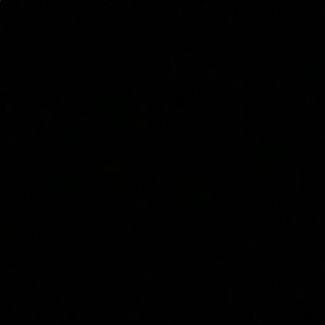 Meet your Posher, Susie